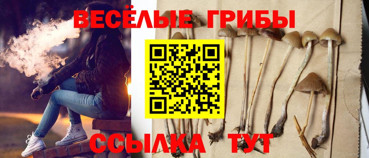 Псилоцибиновые грибы мицелий Мичуринск