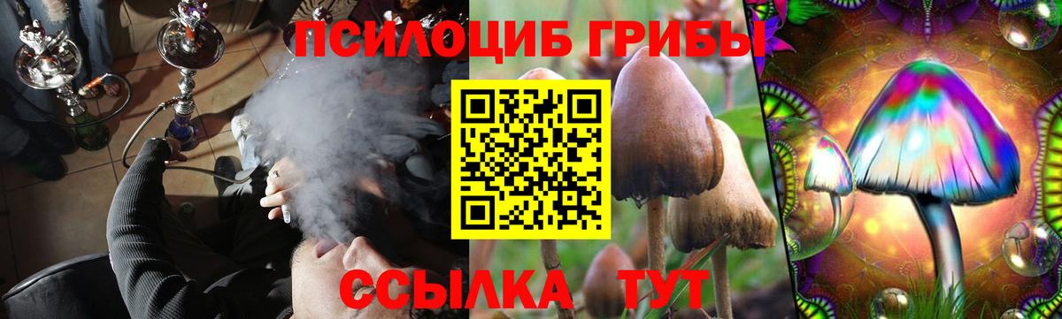 Псилоцибиновые грибы GOLDEN TEACHER  Галлюциногенные грибы Psilocybe  Вход с VPN  Мичуринск 
